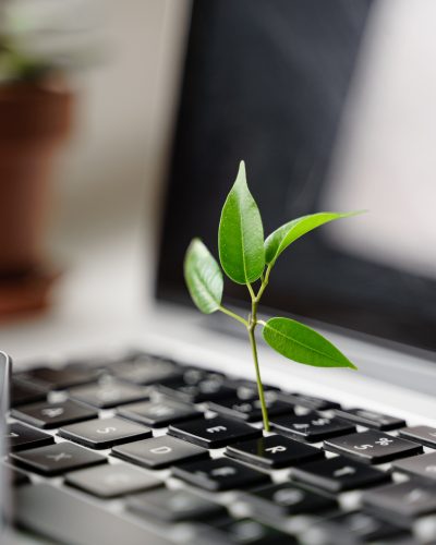 digital-sustainability-tech-carbon-footprint-gre-2021-09-02-11-46-34-utc